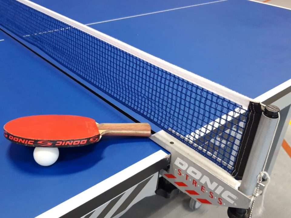 Tischtennisschläger und Netz